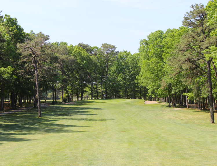 Hole 11 Tee .